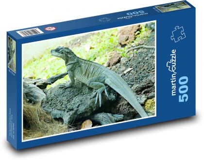 Jaszczurka - agama - Puzzle 500 elementów, rozmiar 46x30 cm