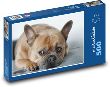 Francúzsky buldoček - pes - Puzzle 500 dielikov, rozmer 46x30 cm 