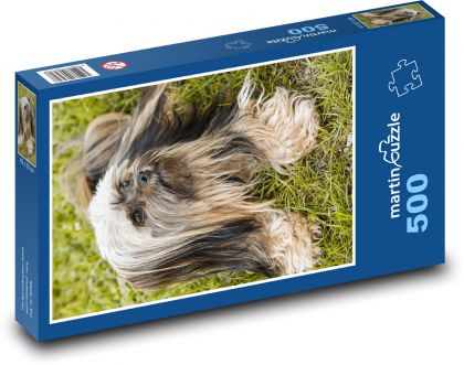 Pes - mazlíček - puzzle 500 dílků