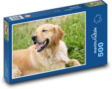 Golden Retriever Puzzle of 500 pieces - 46 x 30 cm 