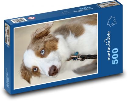 Hund - Australian Shepherd - Puzzle - 500 Teile