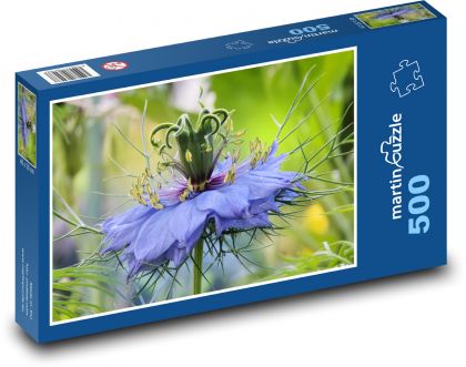 Chrpa květina - puzzle 500 dílků