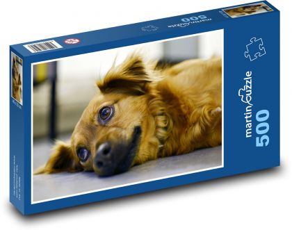 Słodki pies - Puzzle 500 elementów, rozmiar 46x30 cm