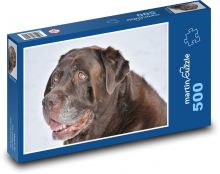 Retrívr - pes Puzzle 500 dílků - 46 x 30 cm