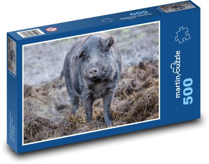 Prase domácí - Puzzle 500 dílků, rozměr 46x30 cm
