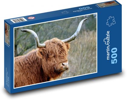 Highland cattle - cow - Puzzle of 500 pieces, size 46x30 cm 