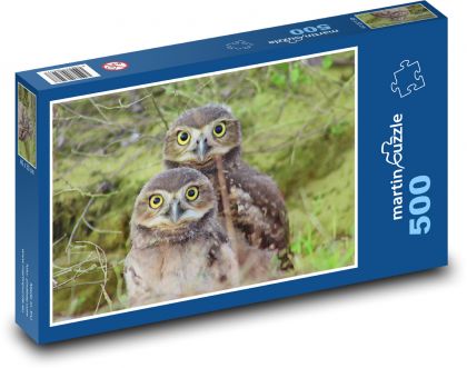 Sovy - les - Puzzle 500 dielikov, rozmer 46x30 cm 