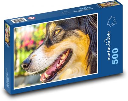 Australian Shepherd - Dog - Puzzle of 500 pieces, size 46x30 cm 