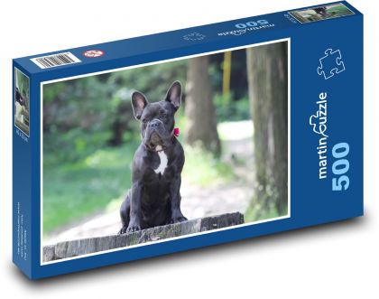 Französische Bulldogge - Puzzle - 500 Teile