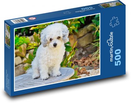 Pies boloński - Puzzle 500 elementów, rozmiar 46x30 cm