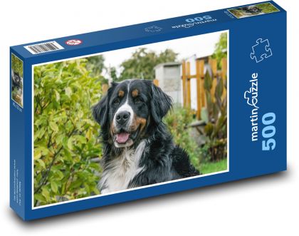 Bernský salašnícky pes - Puzzle 500 dielikov, rozmer 46x30 cm 