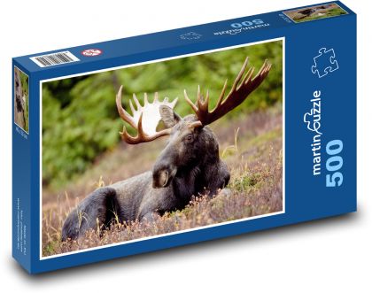 Zwierzę - łoś - Puzzle 500 elementów, rozmiar 46x30 cm