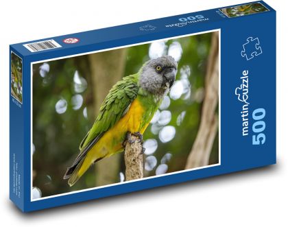 Papagáj - vták - Puzzle 500 dielikov, rozmer 46x30 cm 