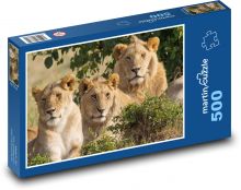 Lev - zvíře Puzzle 500 - 46x30 cm