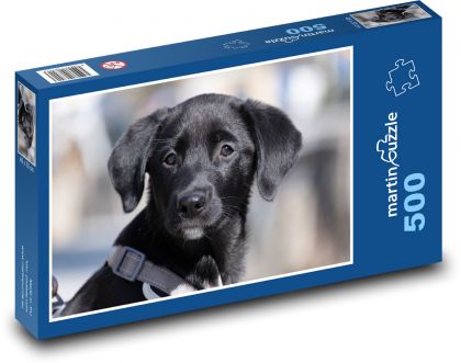 Labrador - pies, szczeniak - Puzzle 500 elementów, rozmiar 46x30 cm