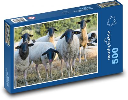 Schafherde - Puzzle - 500 Teile