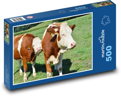 Zemědělství - krávy - puzzle 500 dílků