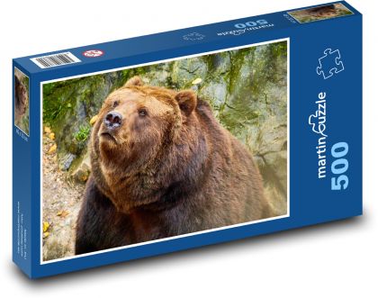 Medvěd hnědý - puzzle 500 dílků