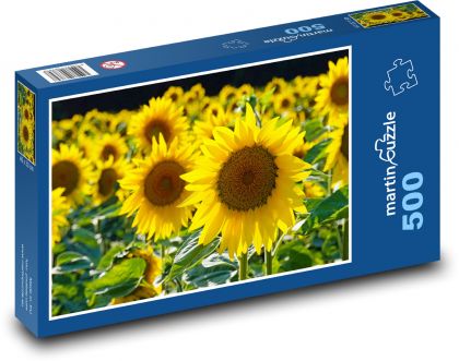 Yellow flowers - sunflowers - Puzzle of 500 pieces, size 46x30 cm 