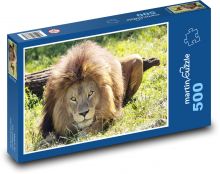 Lev - šelma Puzzle 500 - 46x30 cm