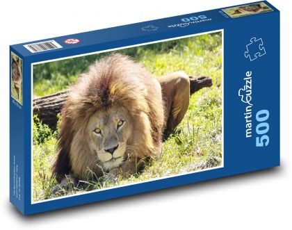 Lion - beast - Puzzle of 500 pieces, size 46x30 cm 
