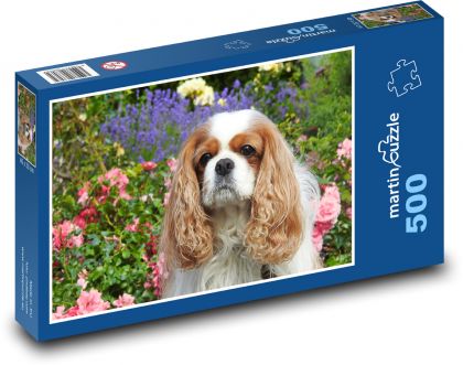 Cavalier - king charles spaniel - Puzzle of 500 pieces, size 46x30 cm 