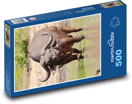 Bawół afrykański - Puzzle 500 elementów, rozmiar 46x30 cm