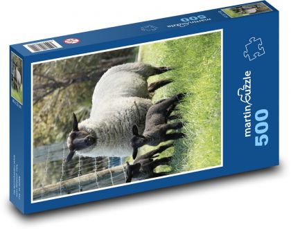 Sheep - lambs - Puzzle of 500 pieces, size 46x30 cm 