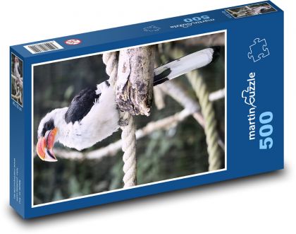 Pták - zoborožec - puzzle 500 dílků
