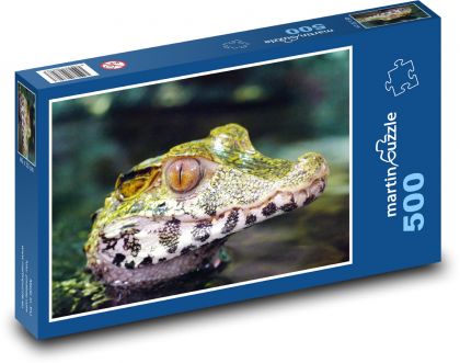 Kajman - krokodyl - Puzzle 500 elementów, rozmiar 46x30 cm