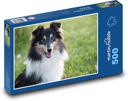 Shetlandský ovčiak - pes - Puzzle 500 dielikov, rozmer 46x30 cm 