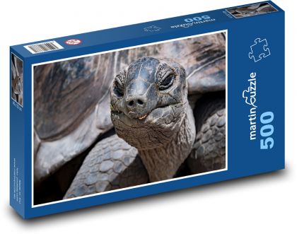 Želva - plaz - puzzle 500 dílků