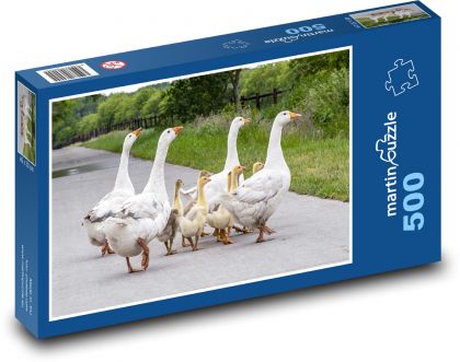 Gänse auf der Straße - Puzzle - 500 Teile