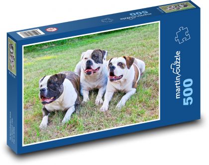 American Bulldogs in the Grass - Puzzle of 500 pieces, size 46x30 cm 