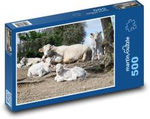 Odpočívající krávy a telata Puzzle 500 - 46x30 cm