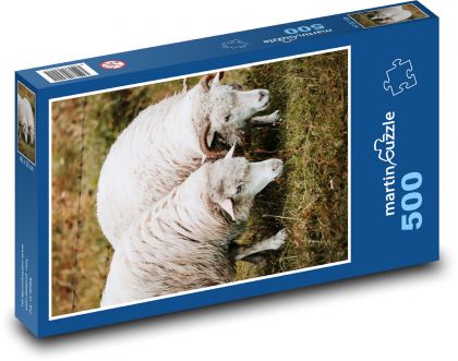 Sheep on pasture. - Puzzle of 500 pieces, size 46x30 cm 