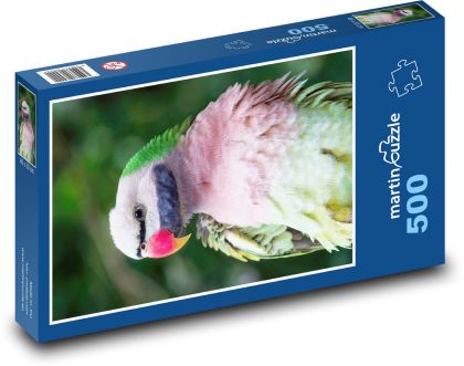 Bunter Papagei - Puzzle - 500 Teile