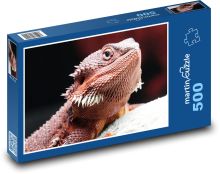 Smok brodaty - jaszczurka Puzzle 500 elementów - 46x30 cm