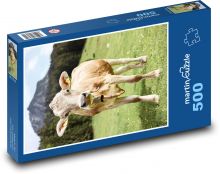 Kráva na horské louce Puzzle 500 dílků - 46 x 30 cm