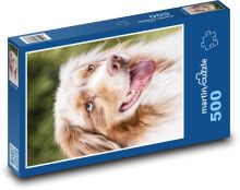 Głowa psa - Collie Puzzle 500 elementów - 46x30 cm