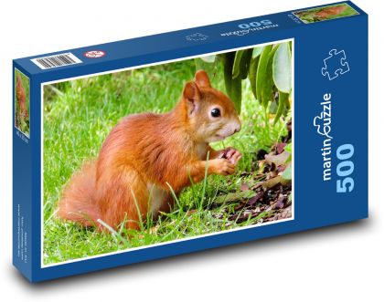 Hrdzavá veverička na tráve - Puzzle 500 dielikov, rozmer 46x30 cm 