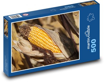 Zlaté klasy kukuřice - puzzle 500 dílků