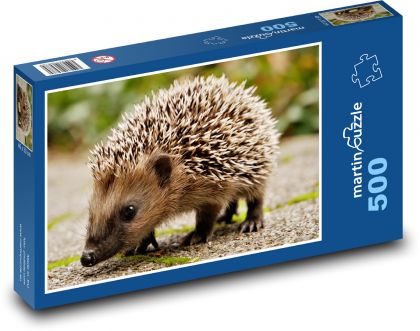 Ein kleiner Igel auf dem Bürgersteig - Puzzle - 500 Teile