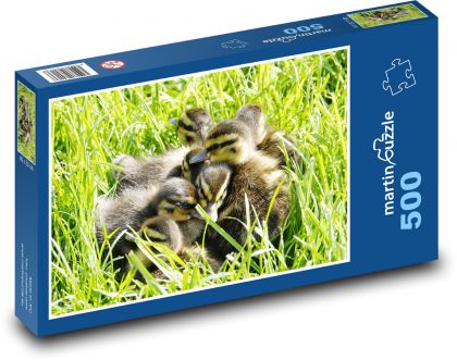 Wasservögel-Küken - Puzzle - 500 Teile