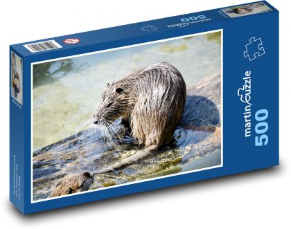 Divoká ondatra v mokřadu - puzzle 500 dílků