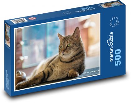 Kot domowy - Puzzle 500 elementów, rozmiar 46x30 cm