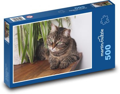 Wandkatze auf dem Tisch - Puzzle - 500 Teile