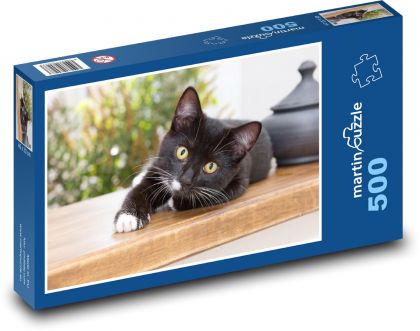 Black and white kitten resting on the table - Puzzle of 500 pieces, size 46x30 cm 