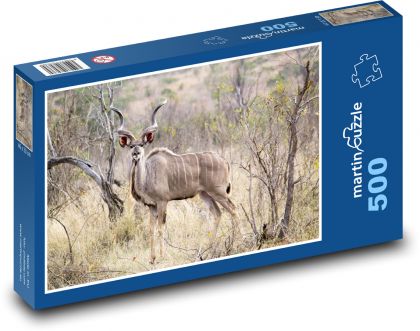 Kudu v africkej savane - Puzzle 500 dielikov, rozmer 46x30 cm 