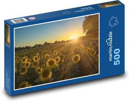 Słońce nad polem słoneczników - Puzzle 500 elementów, rozmiar 46x30 cm
